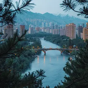 黑狗在国外的含义是啥